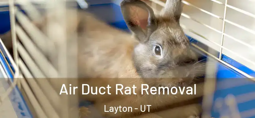 Air Duct Rat Removal Layton - UT
