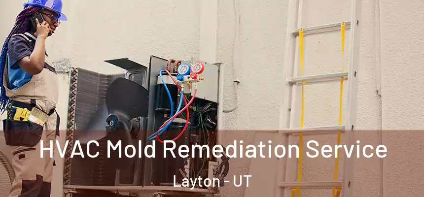  HVAC Mold Remediation Service Layton - UT
