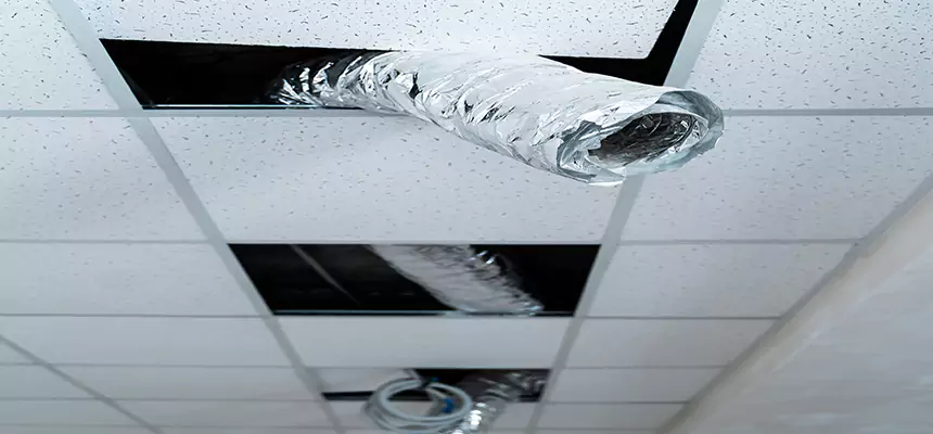 Affordable HVAC Sanitizing After Pest Removal in Layton