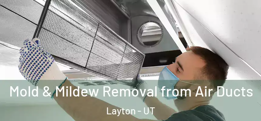  Mold & Mildew Removal from Air Ducts Layton - UT