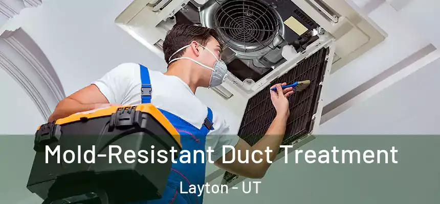  Mold-Resistant Duct Treatment Layton - UT