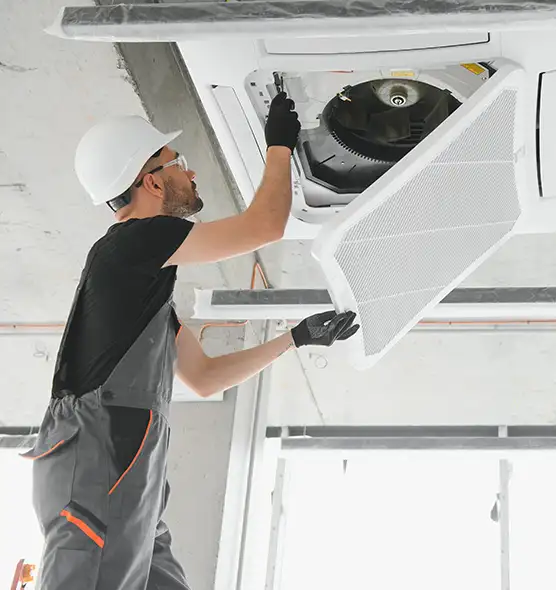 About Air Duct Rodent Removal in Layton, UT