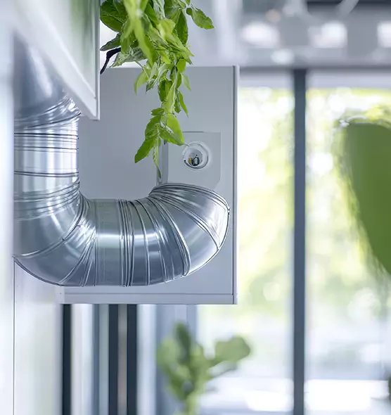 Professional Eco-Friendly Duct Cleaning Services in Layton, UT