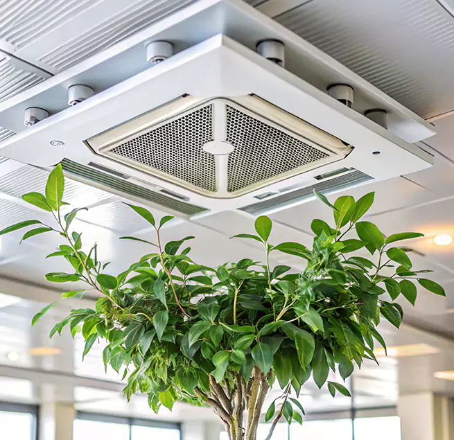 Why Homeowners & Businesses Trust Us in Layton, UT?