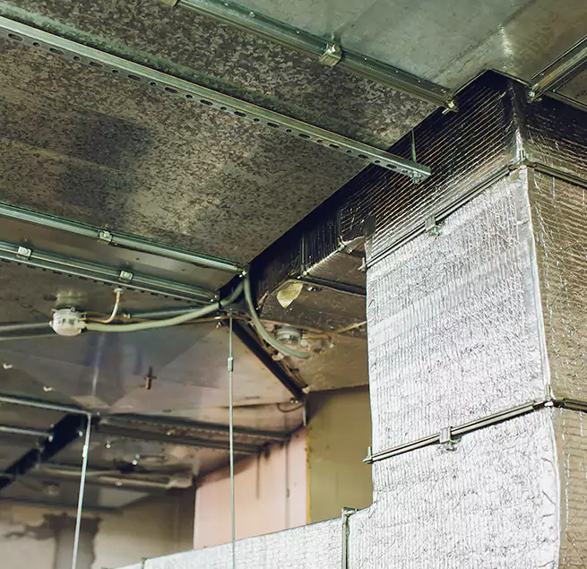 Why Homeowners & Businesses Trust Us in Layton, UT?